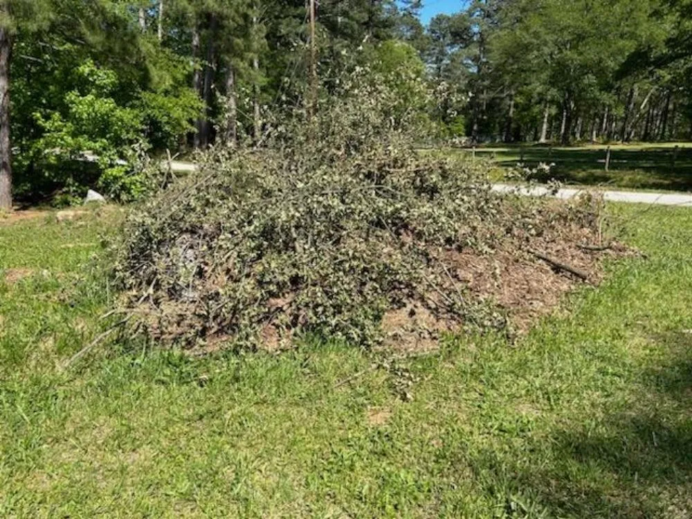 Professional outdoor landscaping in Piedmont, SC - VOTS Junk Removal & Landscape Delivery