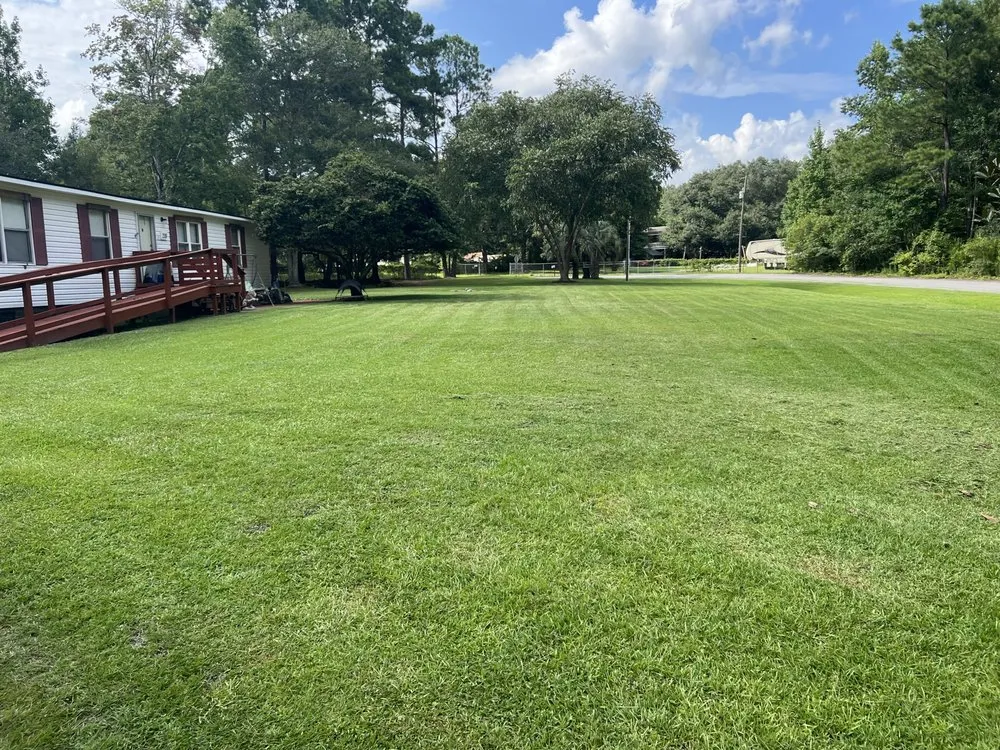 Reliable landscape design for year-round maintenance across Summerville, SC - Votta Landscape Services