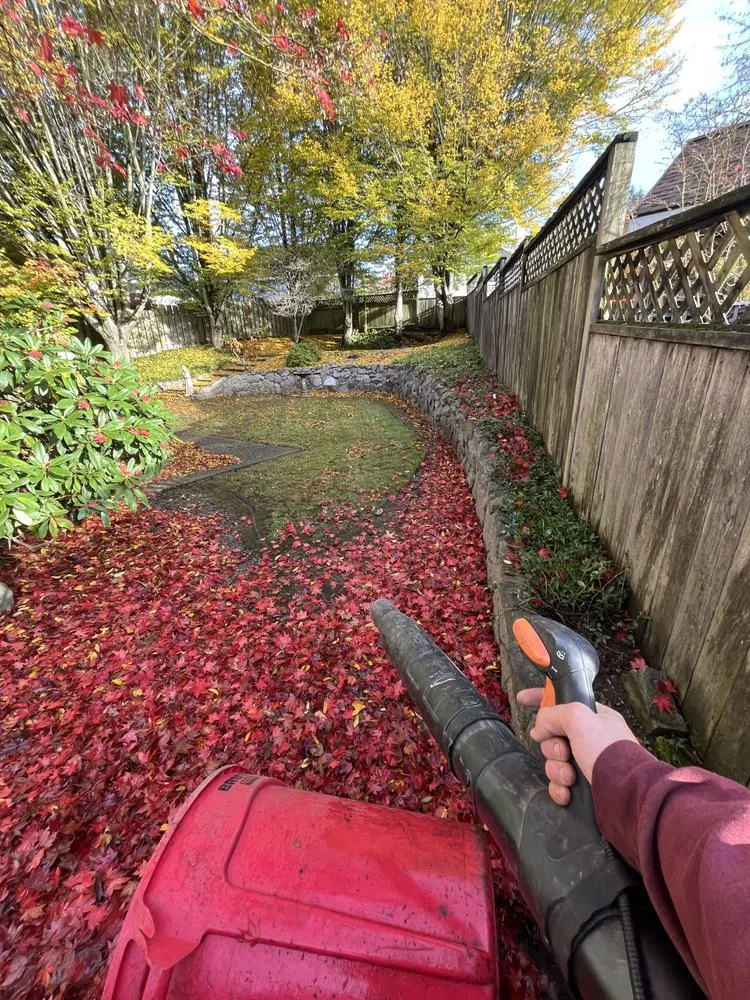 Affordable landscape installation for residential properties in Clackamas, OR by Vowell Roots