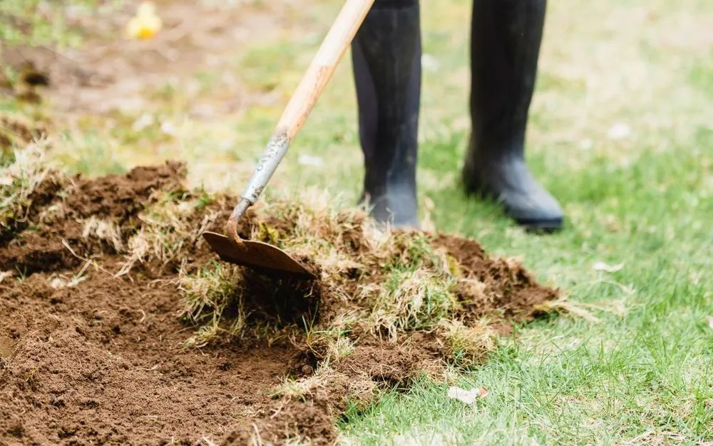 Trusted landscape design in Brighton, CO by VOX Lawn Services