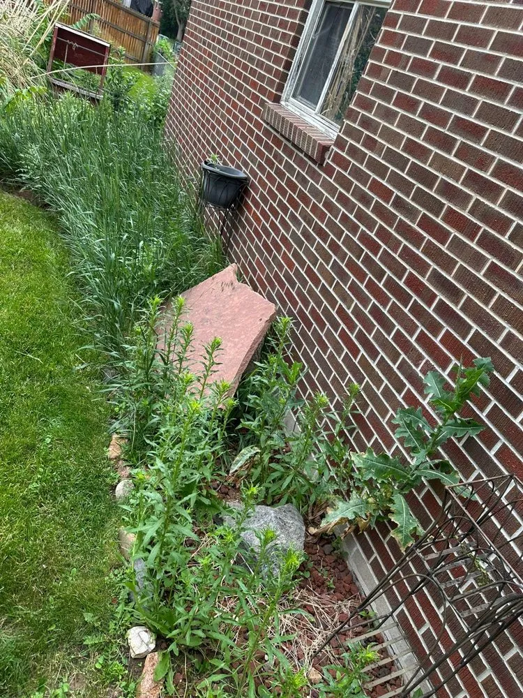 Affordable lawn mowing service for year-round maintenance in Brighton, CO by VOX Lawn Services