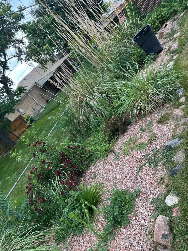 Trusted lawn care service in Brighton, CO - VOX Lawn Services