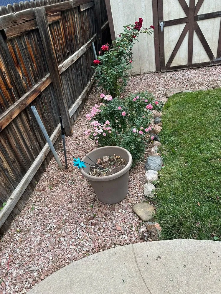 Reliable yard cleanup service experts serving Brighton, CO - VOX Lawn Services