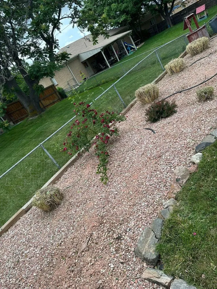 Reliable yard cleanup service for homes in Brighton, CO by VOX Lawn Services