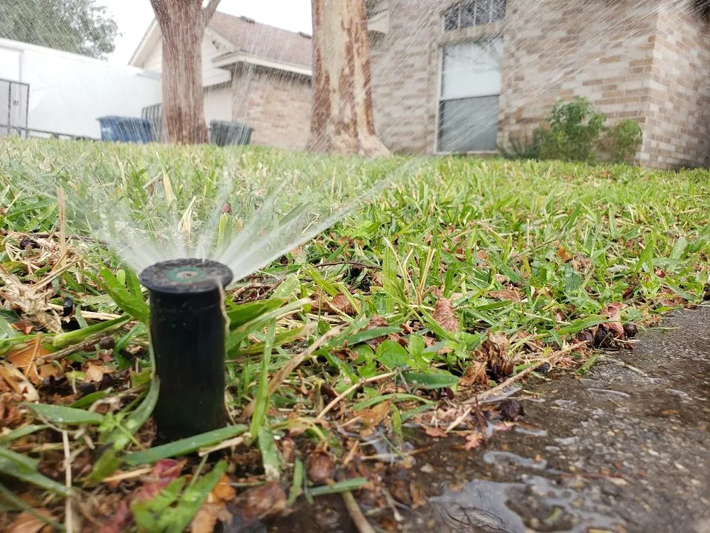 Trusted outdoor landscaping for year-round maintenance in Corpus Christi, TX by VP Irrigation and Landscaping