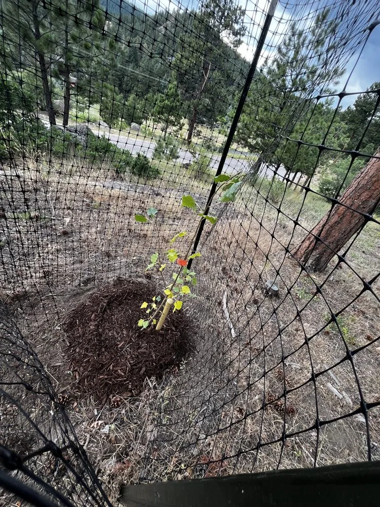 Custom landscape design experts serving Evergreen, CO - VP Landscaping