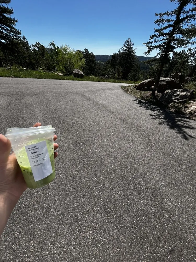 Affordable landscape installation in Evergreen, CO - VP Landscaping