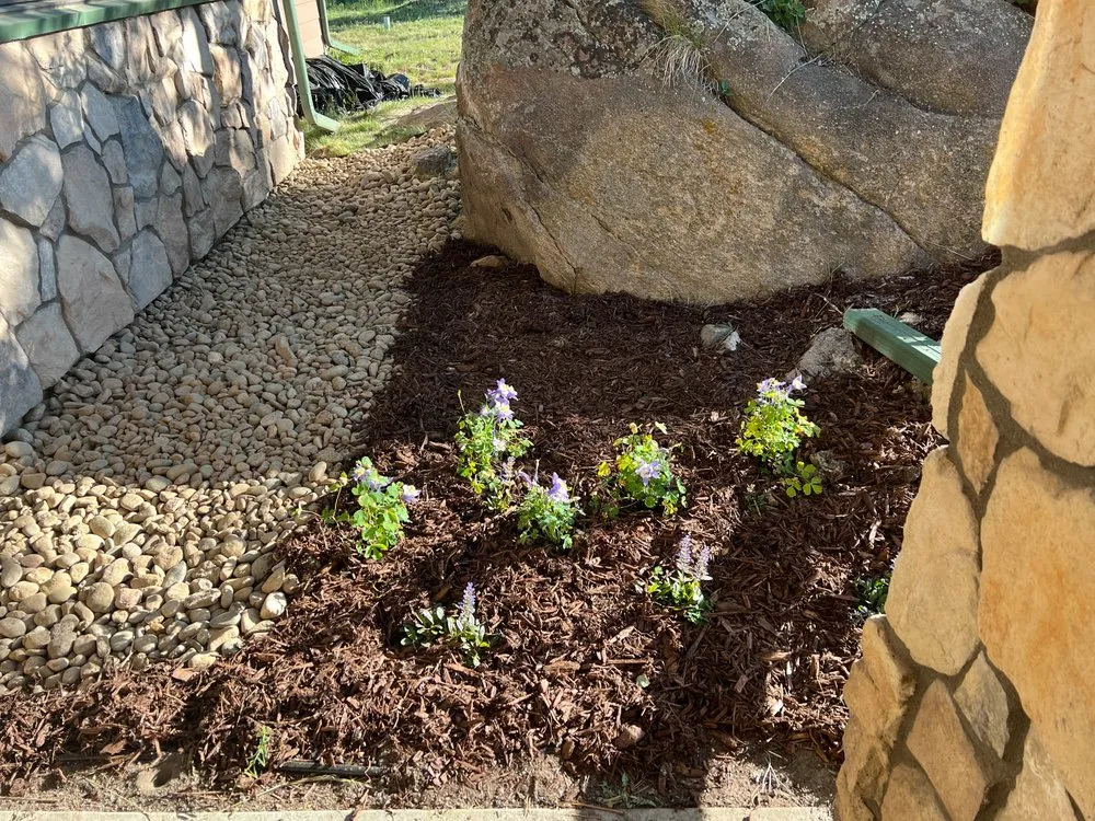 Affordable residential landscaping near you across Evergreen, CO - VP Landscaping