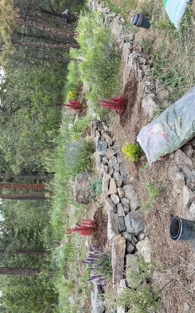 Trusted yard cleanup service for residential properties across Evergreen, CO - VP Landscaping