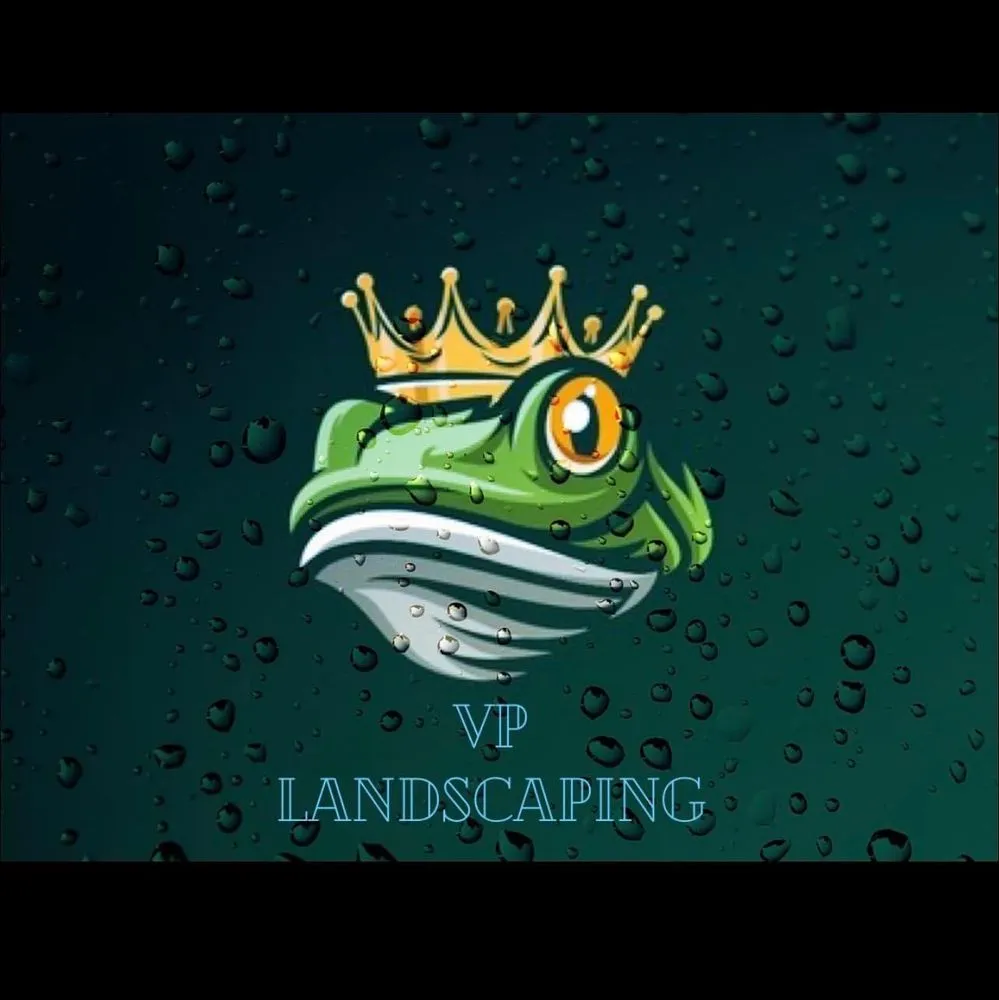 Expert yard cleanup service for beautiful yards across Fife Lake, MI - VP Landscaping