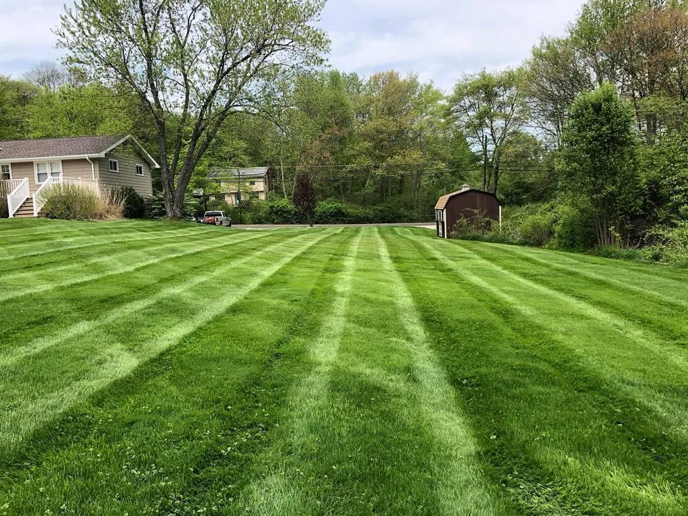 Trusted lawn care service experts serving Coventry, CT - VP Lawn and Landscape