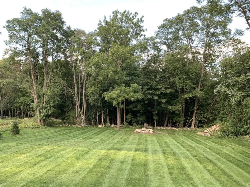Expert lawn care service experts serving Coventry, CT - VP Lawn and Landscape