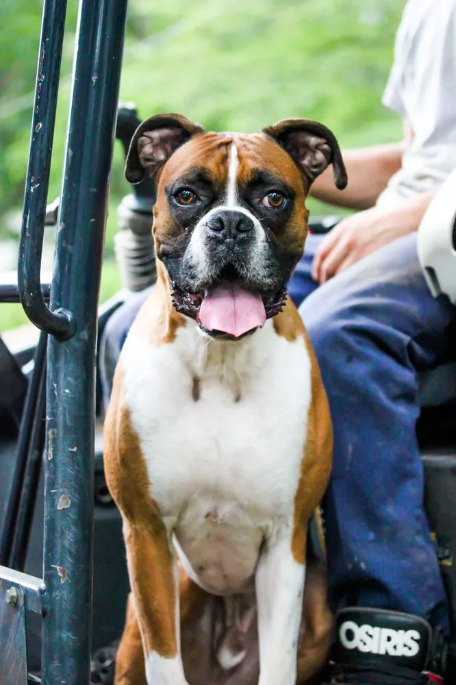 Expert residential landscaping in Coventry, CT - VP Lawn and Landscape