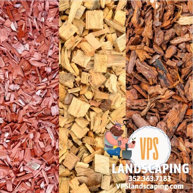 Expert yard cleanup service in Gainesville, FL by VPS Landscaping