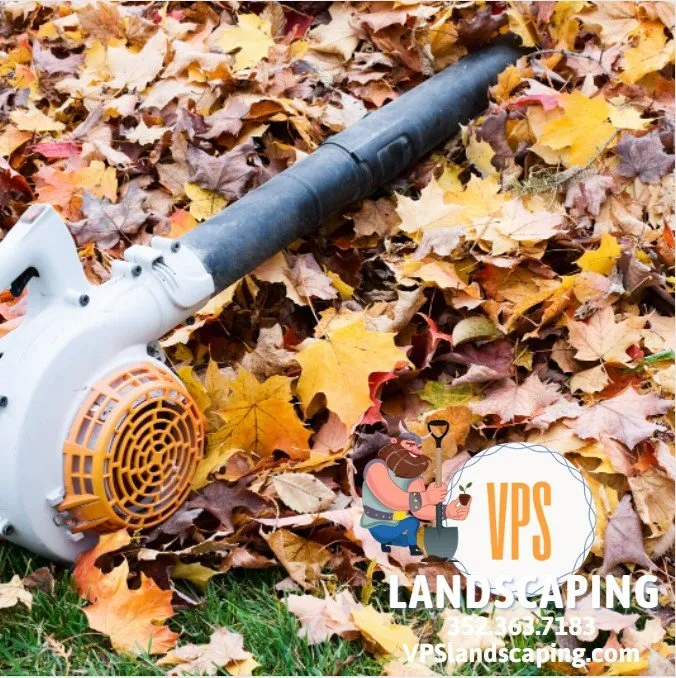 Custom lawn mowing service for beautiful yards across Gainesville, FL - VPS Landscaping