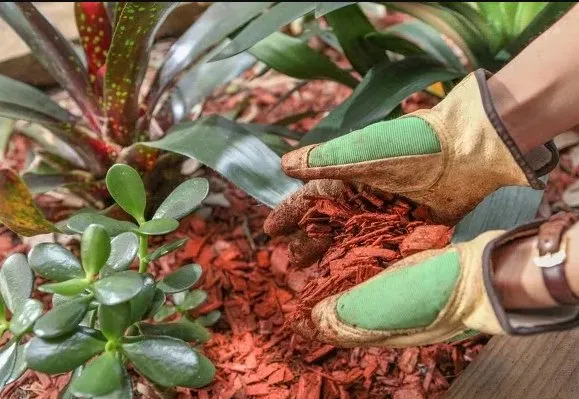 Reliable yard maintenance in New Brunswick, NJ by VQ Landscaping