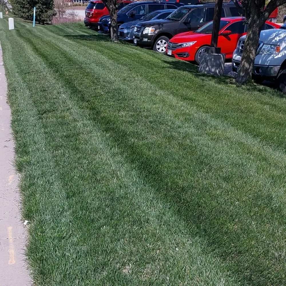 Local landscape installation experts serving Omaha, NE - VR Landscaping