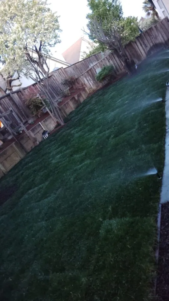 Reliable outdoor landscaping in Pinole, CA - VR Pavers Landscape & General Construction