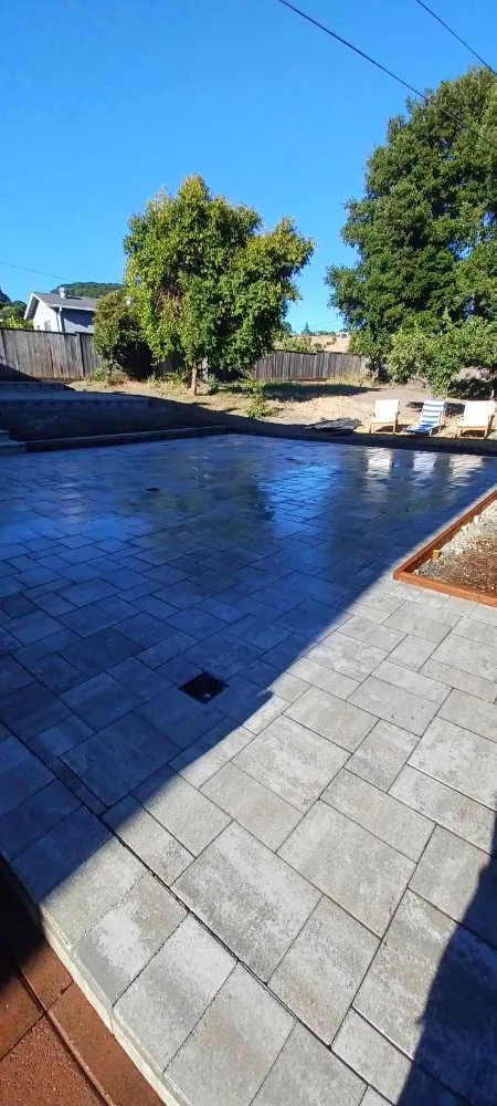 Reliable yard cleanup service in Pinole, CA by VR Pavers Landscape & General Construction