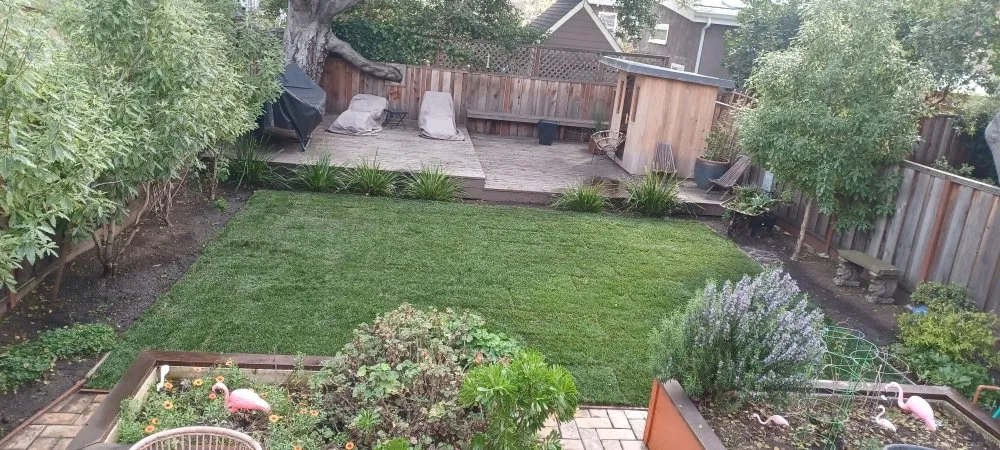 Local lawn care service experts serving Pinole, CA - VR Pavers Landscape & General Construction