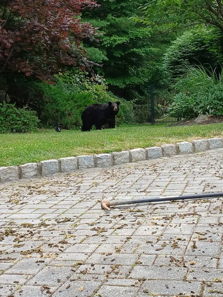 Expert landscape design for outdoor upgrades across Spring Valley, NY - VR Pressure Washing & Landscaping