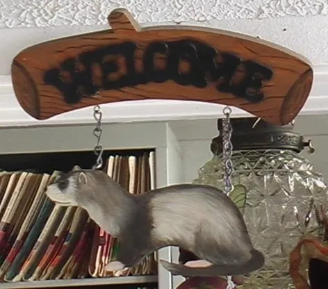 Trusted yard maintenance in Spring Valley, NY - VR Pressure Washing & Landscaping