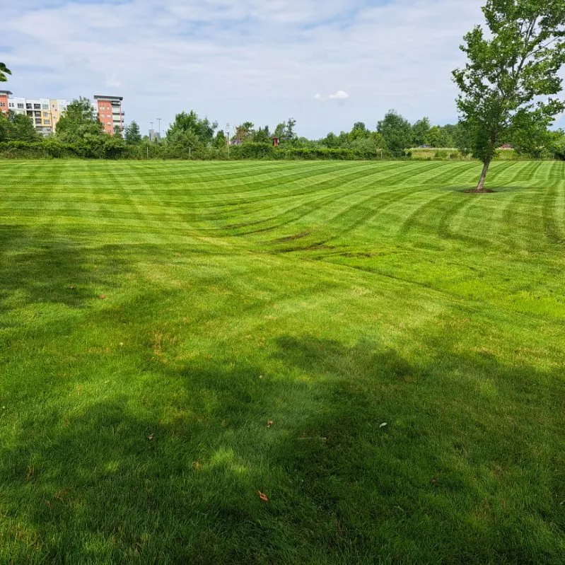 Local lawn mowing service for outdoor upgrades in Lansing, MI by Vrane Lawn Care
