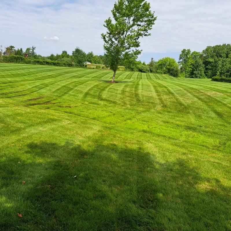 Professional landscape installation near you across Lansing, MI - Vrane Lawn Care