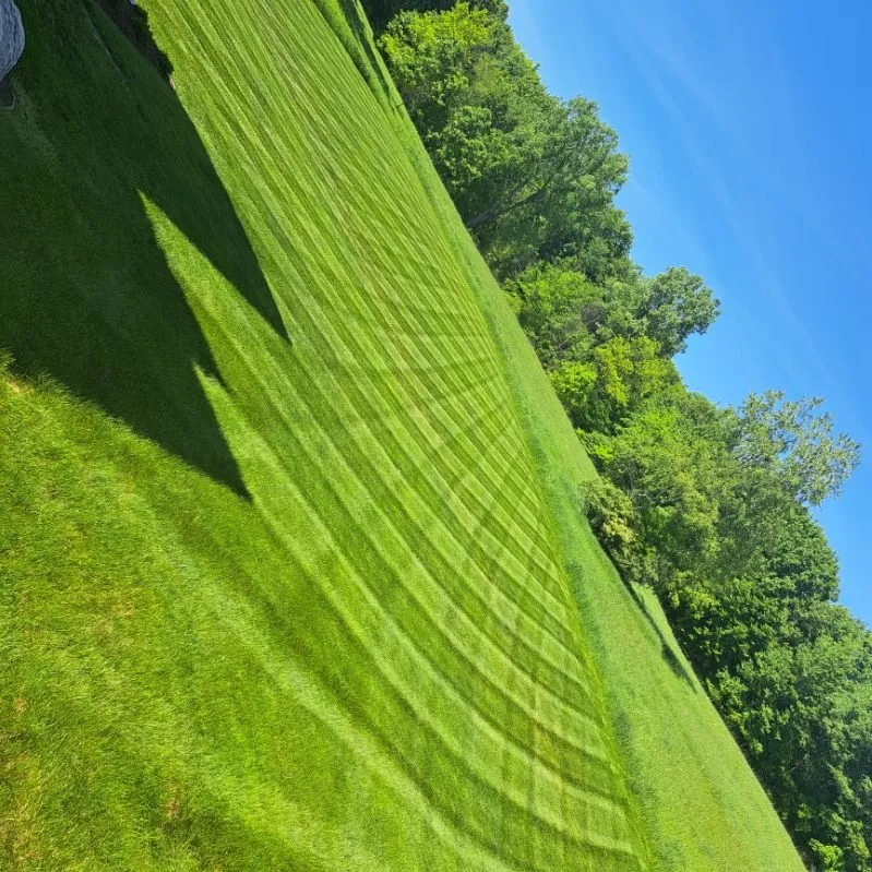 Trusted landscaping services experts serving Lansing, MI - Vrane Lawn Care