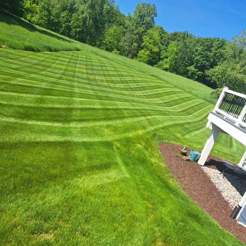 Expert landscape design in Lansing, MI - Vrane Lawn Care