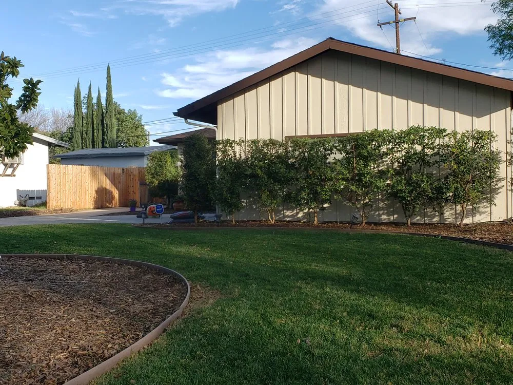 Expert yard maintenance for beautiful yards across Menifee, CA - VRC Landscaping