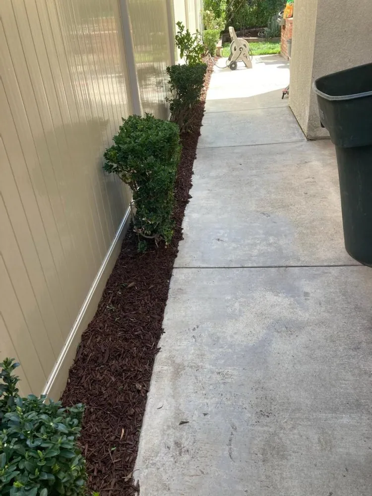 Top-rated landscaping services near you across Menifee, CA - VRC Landscaping