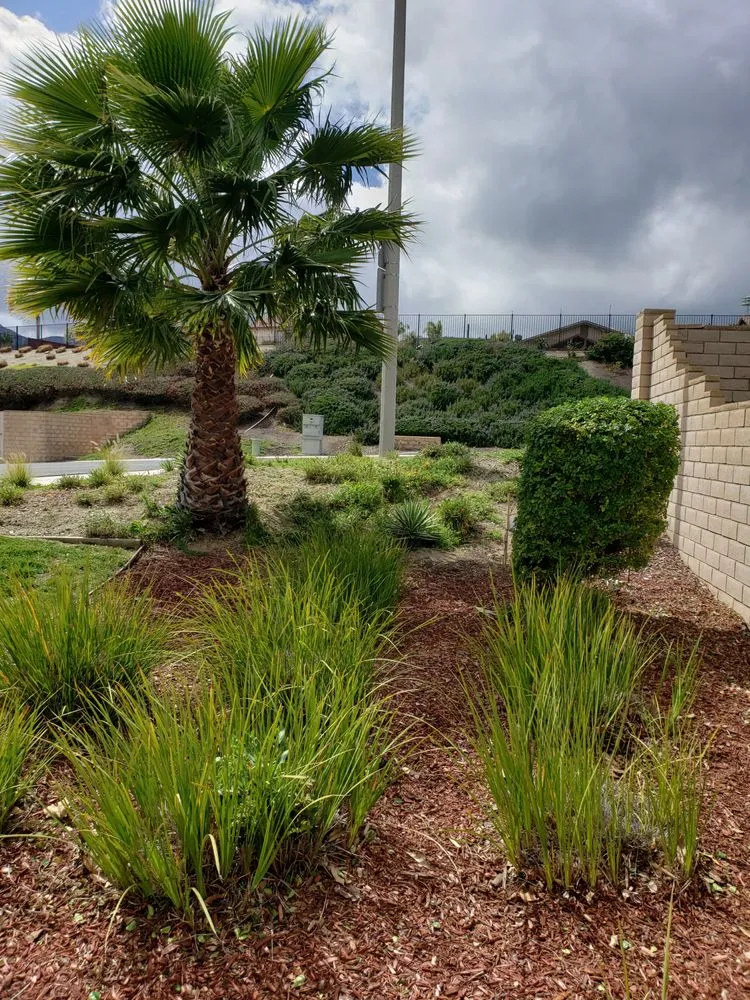 Expert landscape design in Menifee, CA - VRC Landscaping