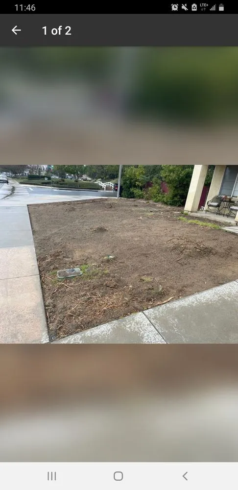 Trusted yard cleanup service for homes across Menifee, CA - VRC Landscaping