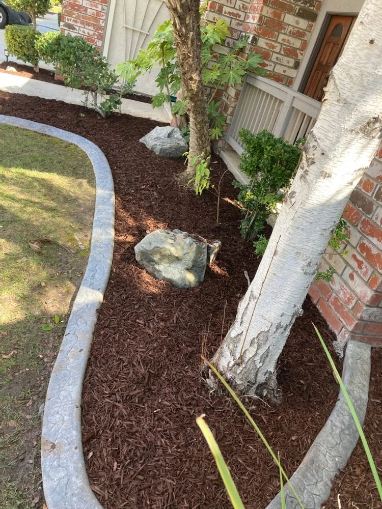 Professional lawn care service experts serving Menifee, CA - VRC Landscaping