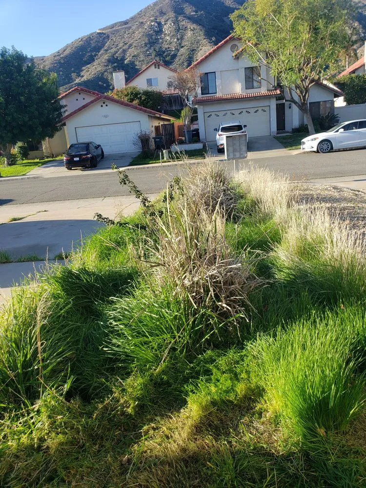Reliable residential landscaping experts serving Menifee, CA - VRC Landscaping