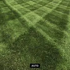 Expert yard cleanup service for residential properties in Waterville, ME by Vrd Landscaping