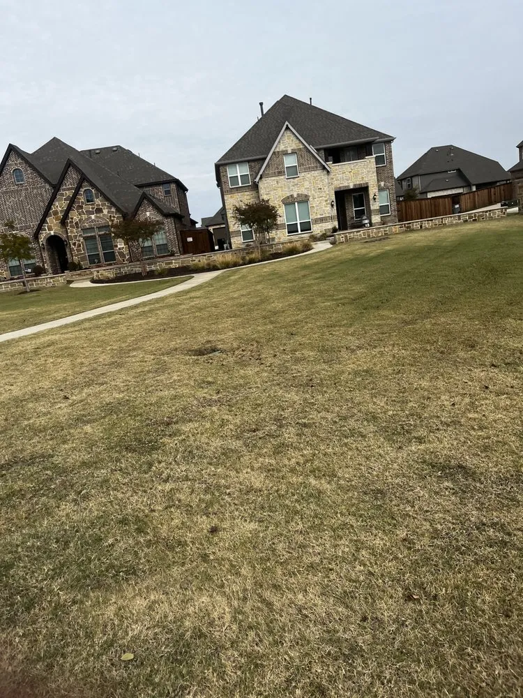 Local yard cleanup service in Richardson, TX - Vroom Lawn Care