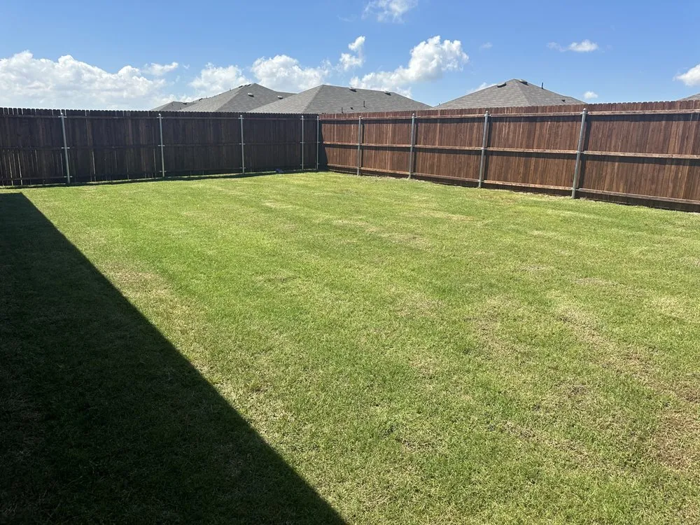 Top-rated yard cleanup service in Richardson, TX by Vroom Lawn Care