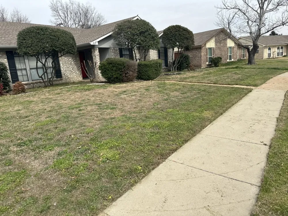 Expert outdoor landscaping experts serving Richardson, TX - Vroom Lawn Care