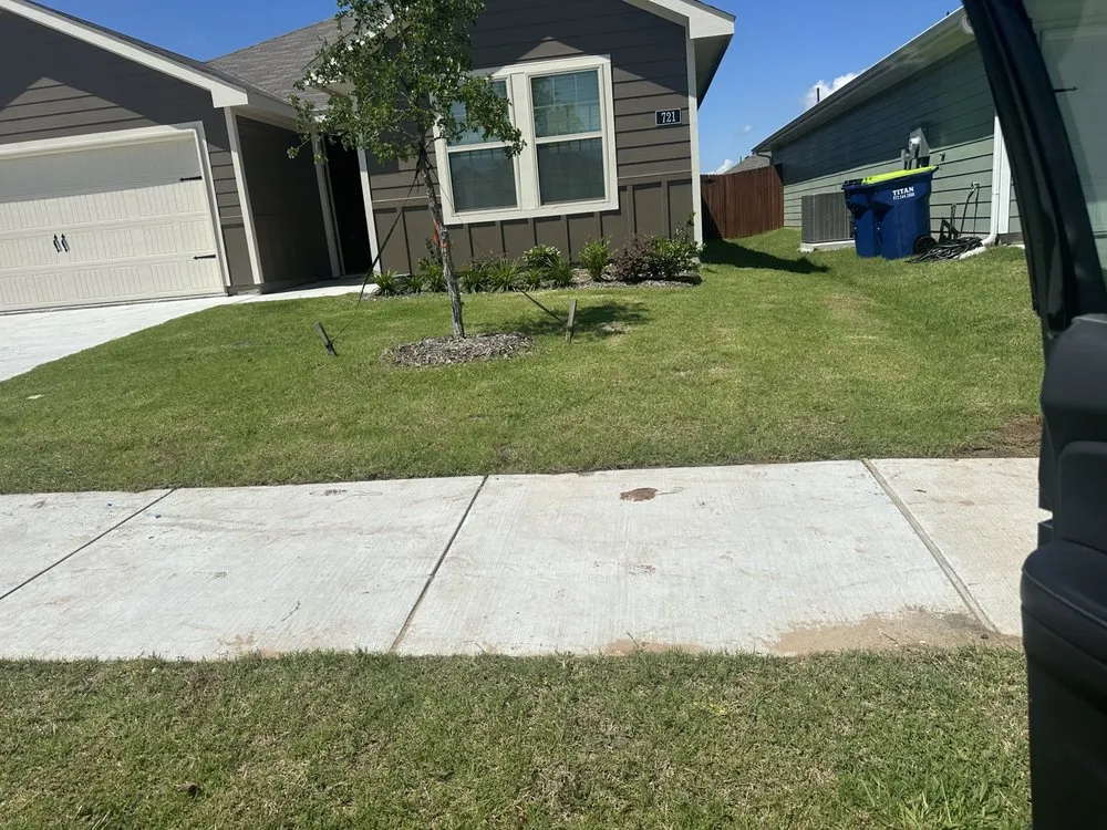 Reliable yard cleanup service in Richardson, TX by Vroom Lawn Care