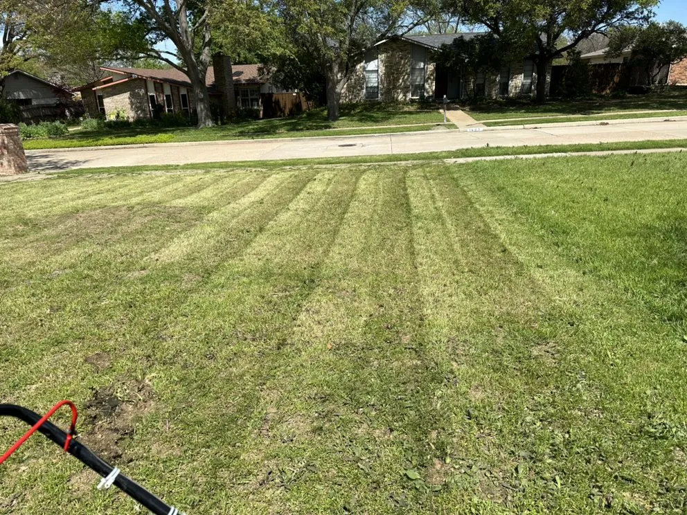 Top-rated outdoor landscaping in Richardson, TX - Vroom Lawn Care