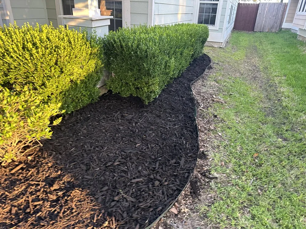 Trusted lawn mowing service for beautiful yards in Richardson, TX by Vroom Lawn Care