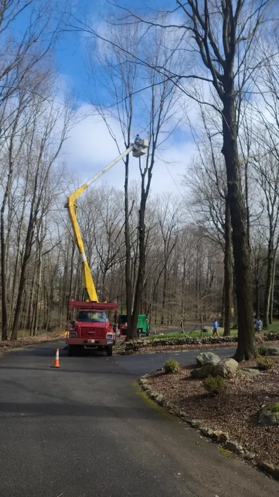 Custom outdoor landscaping experts serving Danbury, CT - VS Landscaping