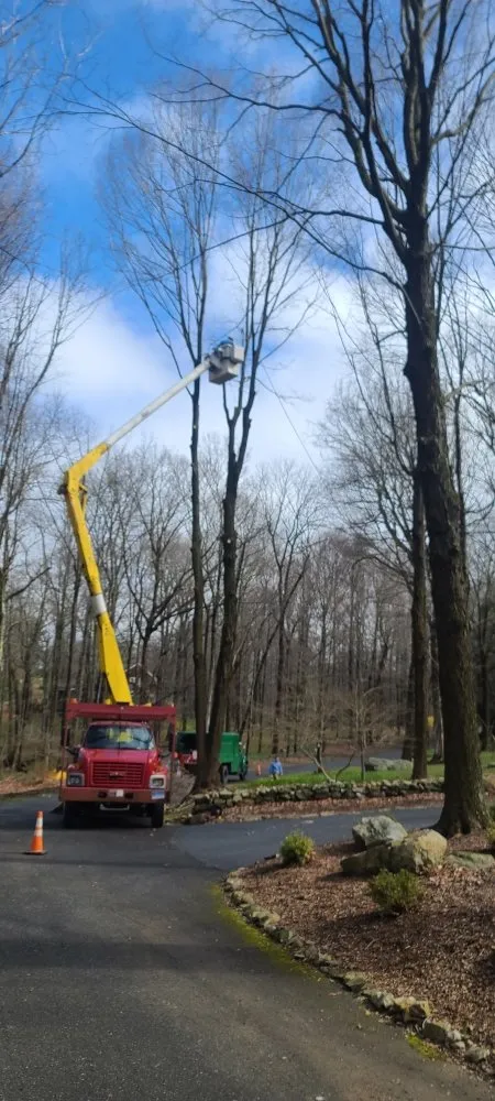 Local garden landscaping for beautiful yards across Danbury, CT - VS Landscaping