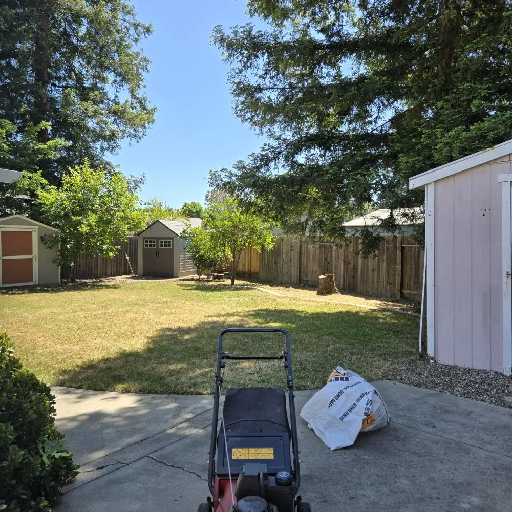 Expert lawn mowing service in Elk Grove, CA by VS Lawn Care