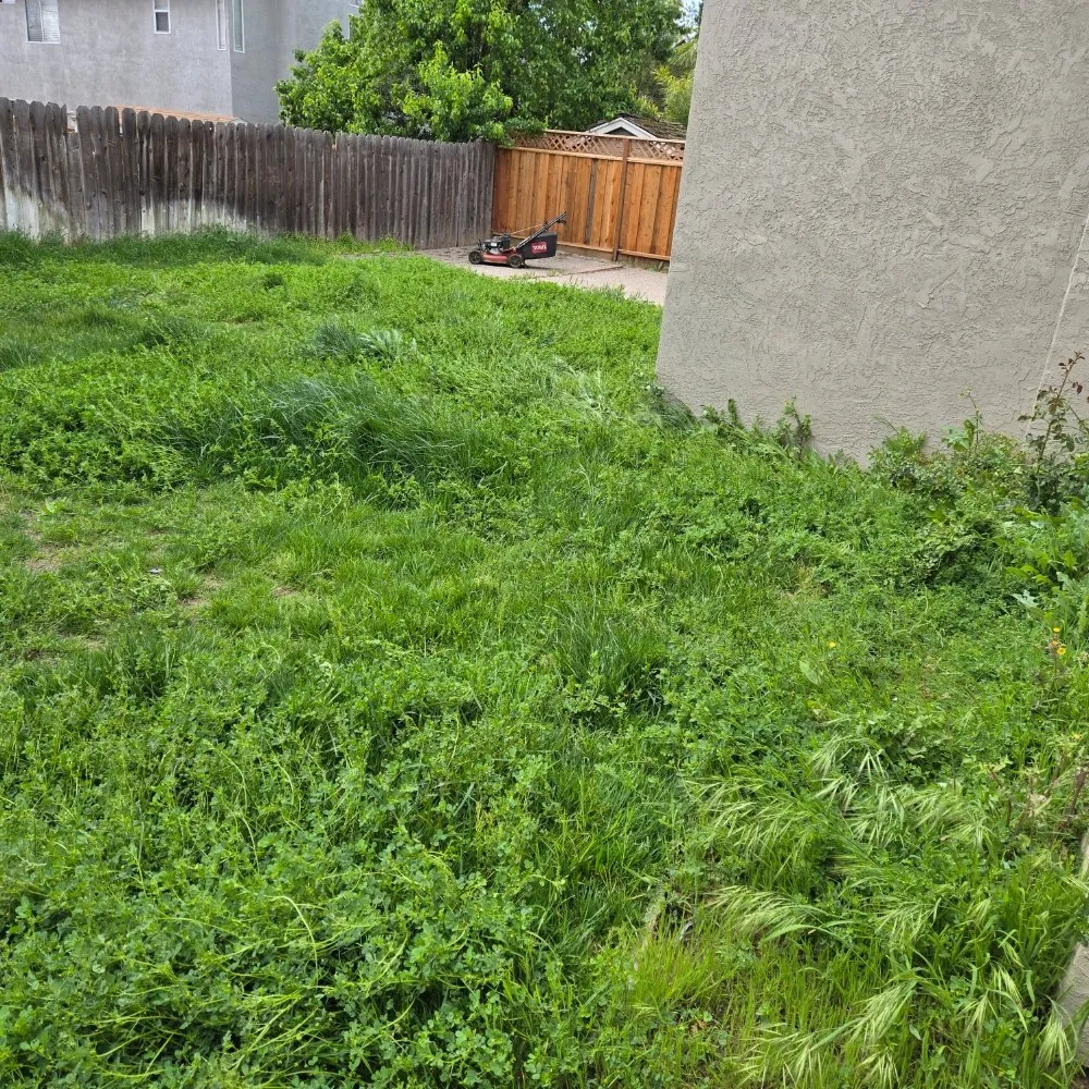 Local lawn mowing service with custom design in Elk Grove, CA by VS Lawn Care