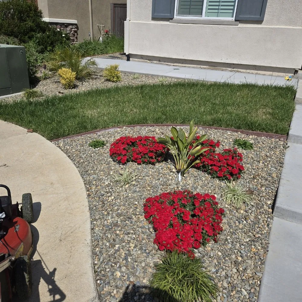 Trusted landscaping services near you across Elk Grove, CA - VS Lawn Care