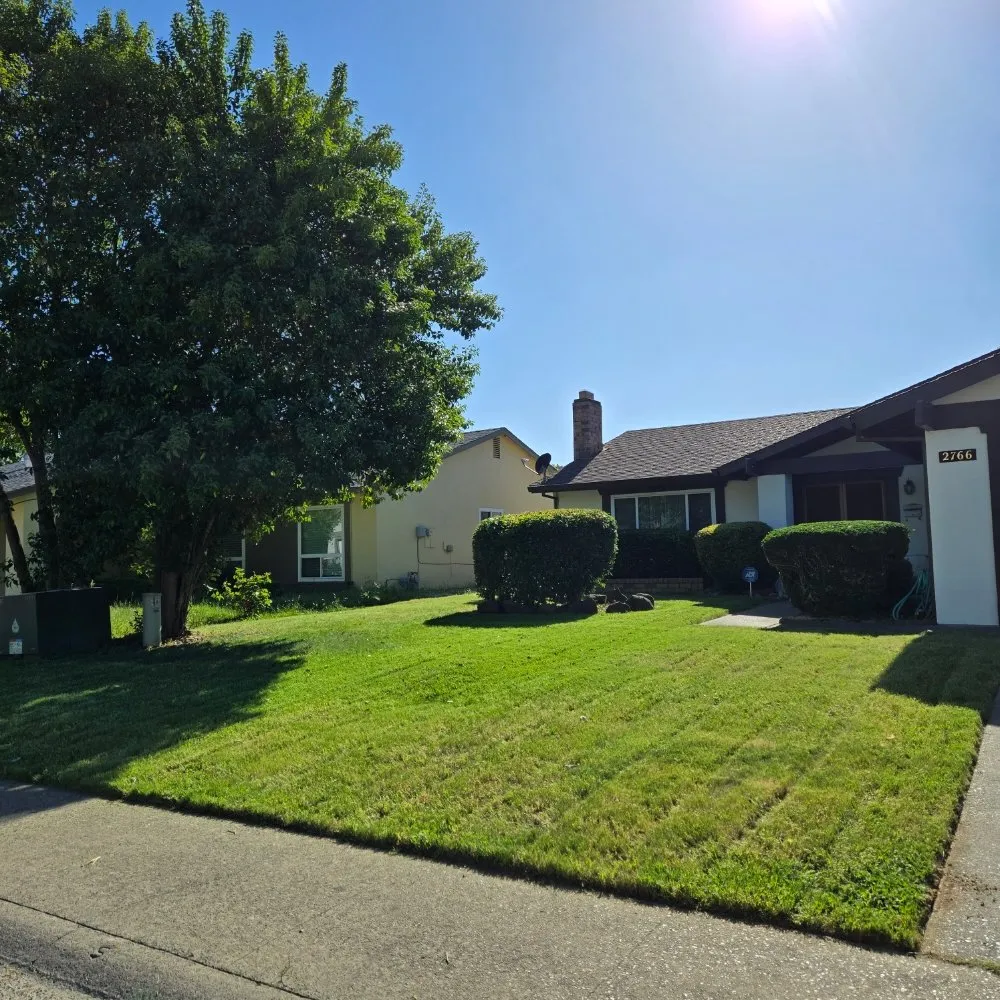 Reliable yard maintenance in Elk Grove, CA by VS Lawn Care
