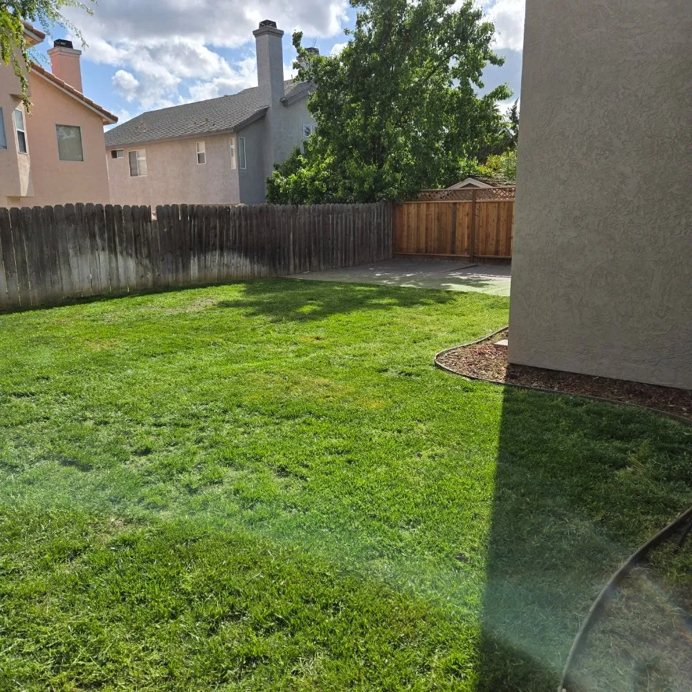 Top-rated residential landscaping for outdoor upgrades in Elk Grove, CA by VS Lawn Care